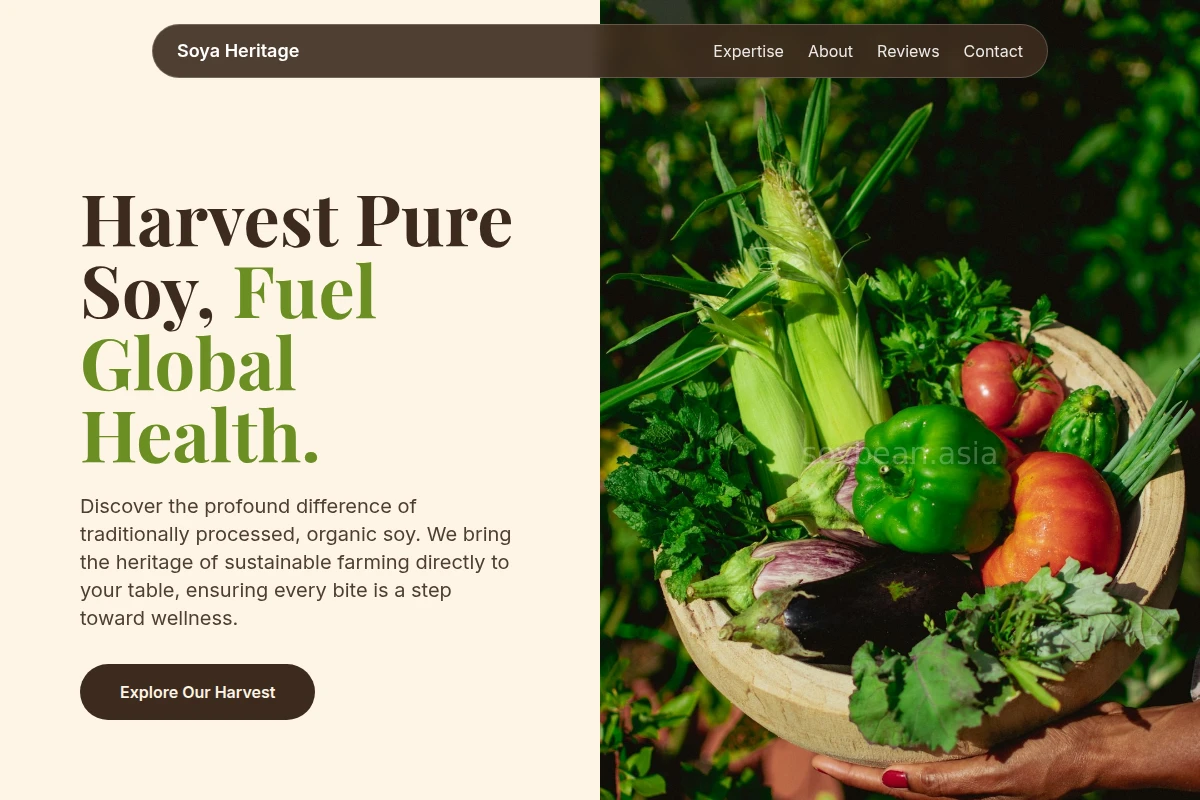 Sustainable Organic Food