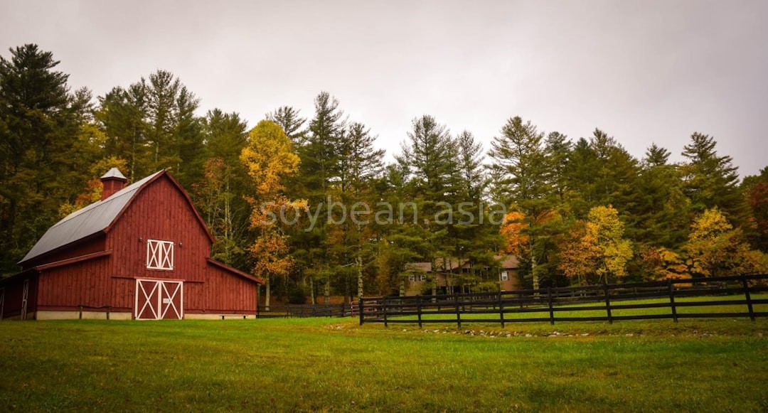 Farm Reel 1