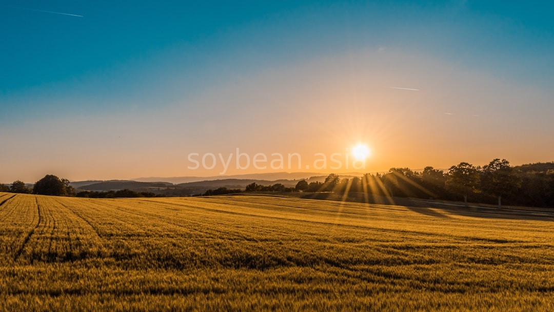 Sustainable Farming