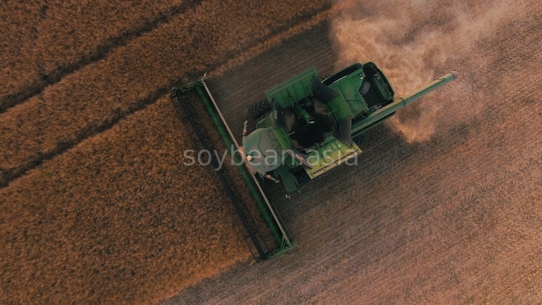 Farm 1