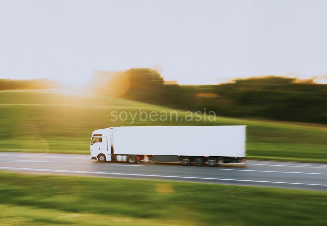 Bulk Cargo