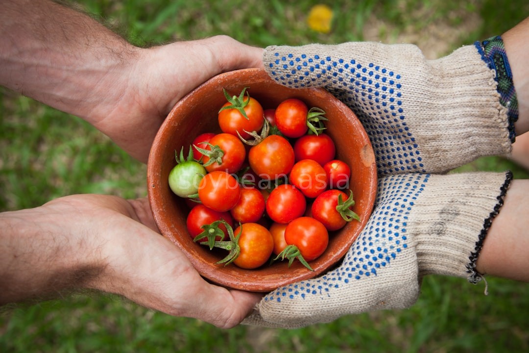 Farming